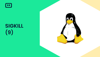 SIGKILL : Fast termination of Linux containers (signal 9)