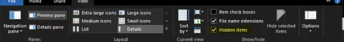 Enable hidden items in Windows from View tab